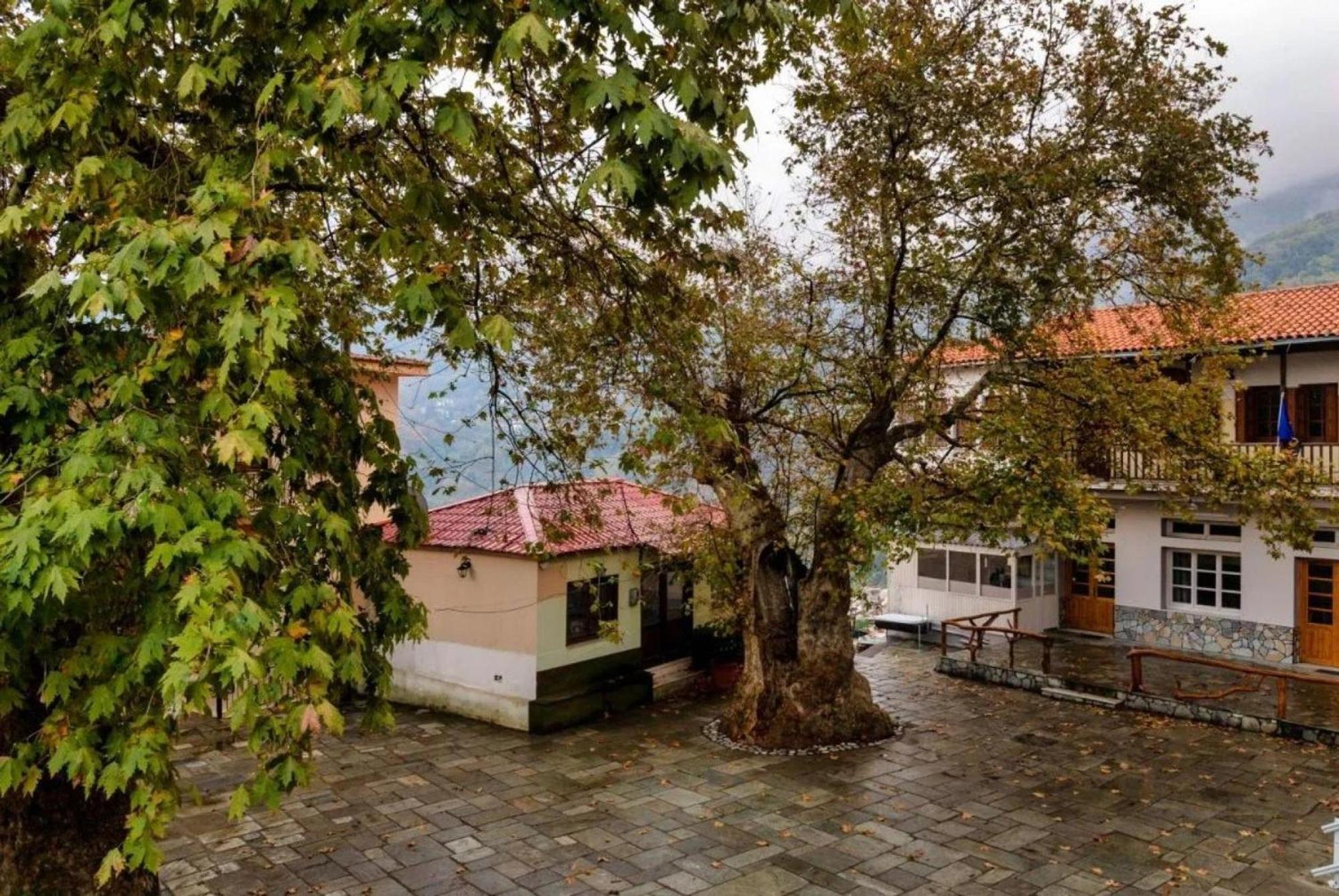 Appartement Hara'S House Pelion à Makrirrákhi Extérieur photo